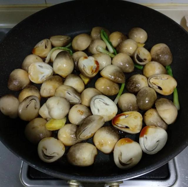 國家蘑菇地理：中國哪里的蘑菇最好吃？